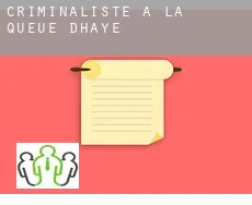 Criminaliste à La Queue-d'Haye