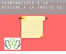 Criminaliste à  Rivière-à-la-Truite (census area)