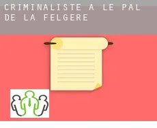 Criminaliste à La Felgère
