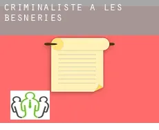 Criminaliste à  Les Besneries
