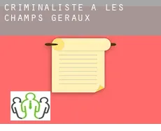 Criminaliste à  Les Champs-Géraux