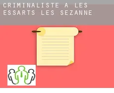 Criminaliste à Les Essarts-lès-Sézanne