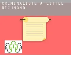 Criminaliste à  Little Richmond