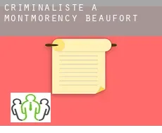 Criminaliste à Montmorency-Beaufort