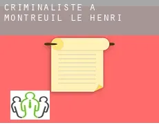 Criminaliste à Montreuil-le-Henri