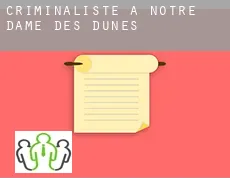 Criminaliste à  Notre-Dame-des-Dunes