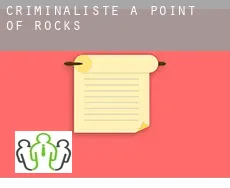 Criminaliste à Point of Rocks