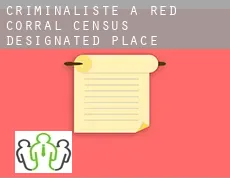 Criminaliste à  Red Corral