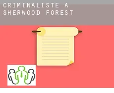 Criminaliste à  Sherwood Forest