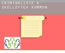 Criminaliste à Skellefteå Kommun