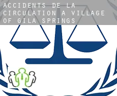 Accidents de la circulation à Village of Gila Springs