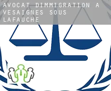Avocat d'immigration à  Vesaignes-sous-Lafauche