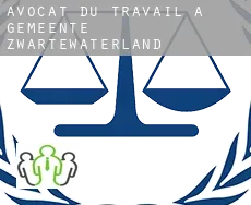 Avocat du travail à  Gemeente Zwartewaterland