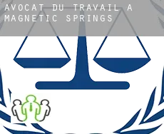 Avocat du travail à  Magnetic Springs