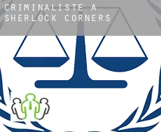 Criminaliste à  Sherlock Corners