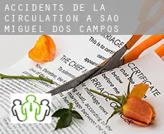 Accidents de la circulation à São Miguel dos Campos