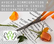 Avocat d'immigration à  Monroe North