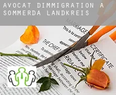 Avocat d'immigration à  Sömmerda Landkreis