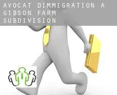 Avocat d'immigration à Gibson Farm Subdivision