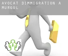 Avocat d'immigration à  Murgul