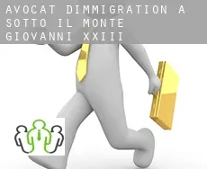 Avocat d'immigration à  Sotto il Monte Giovanni XXIII