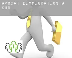 Avocat d'immigration à  Sun