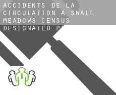 Accidents de la circulation à  Swall Meadows