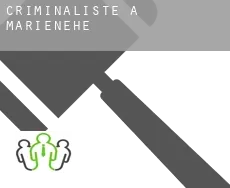 Criminaliste à  Marienehe