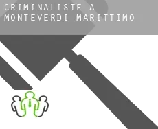 Criminaliste à  Monteverdi Marittimo