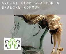Avocat d'immigration à  Bräcke Kommun