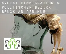 Avocat d'immigration à  Politischer Bezirk Bruck an der Mur