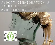 Avocat d'immigration à Saint-Louis-de-Montferrand