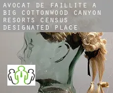 Avocat de faillite à  Big Cottonwood Canyon Resorts