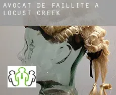Avocat de faillite à  Locust Creek