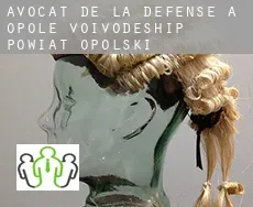 Avocat de la défense à Powiat opolski (Opole Voivodeship)