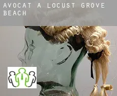 Avocat à  Locust Grove Beach