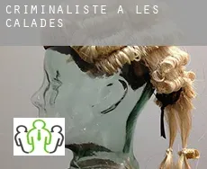 Criminaliste à  Les Calades