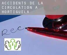 Accidents de la circulation à  Hortigüela
