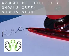 Avocat de faillite à  Shoals Creek Subdivision