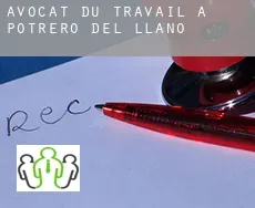 Avocat du travail à  Potrero del Llano