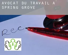 Avocat du travail à  Spring Grove