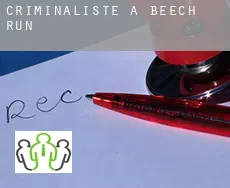 Criminaliste à  Beech Run