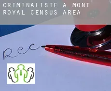 Criminaliste à  Mont-Royal (census area)