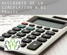 Accidents de la circulation à  El Paujil