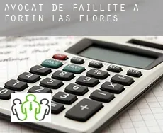 Avocat de faillite à  Fortín de las Flores
