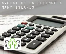 Avocat de la défense à  Many Islands