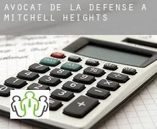 Avocat de la défense à  Mitchell Heights