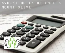 Avocat de la défense à  Mount Olive