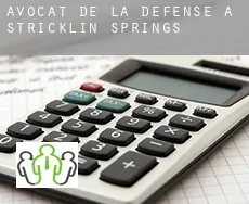 Avocat de la défense à  Stricklin Springs