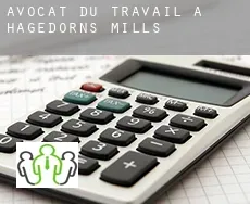 Avocat du travail à  Hagedorns Mills
